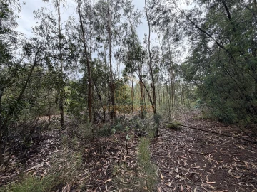 Terreno para Venda em Moinhos de Gandara
