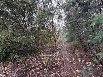 Terreno para Venda em Moinhos de Gandara