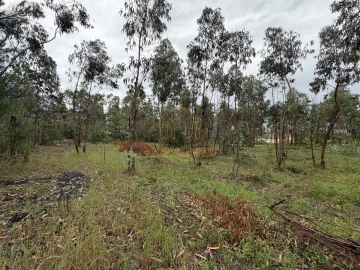 Terreno para Venda em Moinhos de Gandara