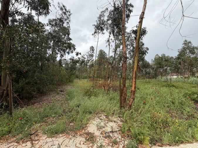 Terreno para Venda em Moinhos de Gandara Foto 4