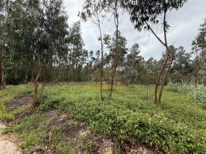Terreno para Venda em Moinhos de Gandara Foto 6