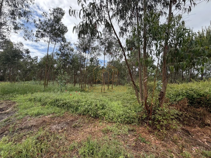 Terreno para Venda em Moinhos de Gandara Foto 8