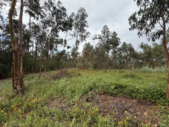Terreno para Venda em Moinhos de Gandara Foto 5