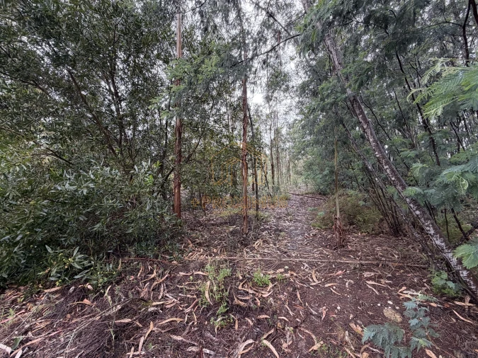 Terreno para Venda em Moinhos de Gandara Foto 15