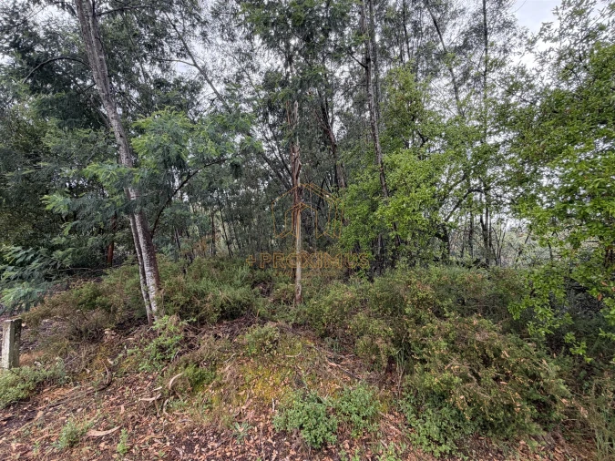 Terreno para Venda em Moinhos de Gandara Foto 13