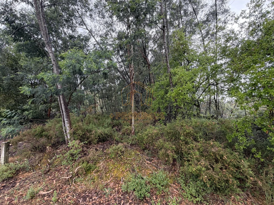 Terreno para Venda em Moinhos de Gandara Foto 13