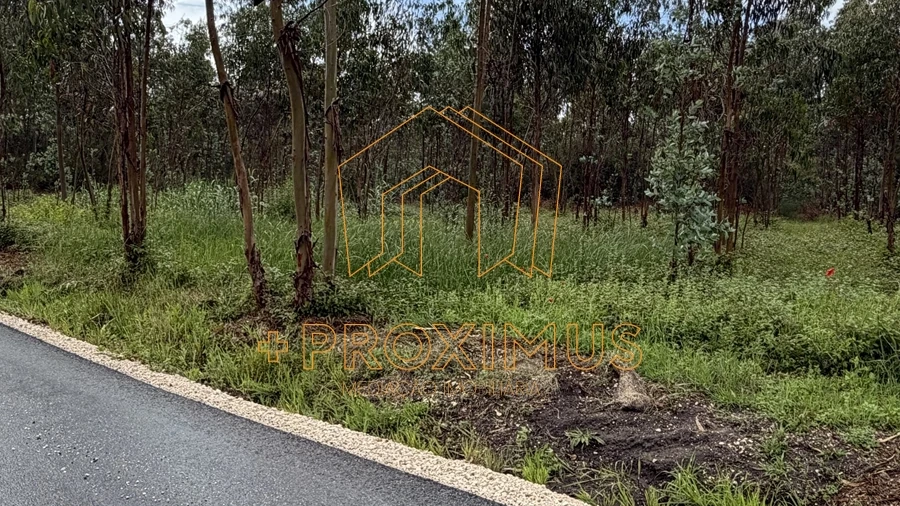 Terreno para Venda em Moinhos de Gandara