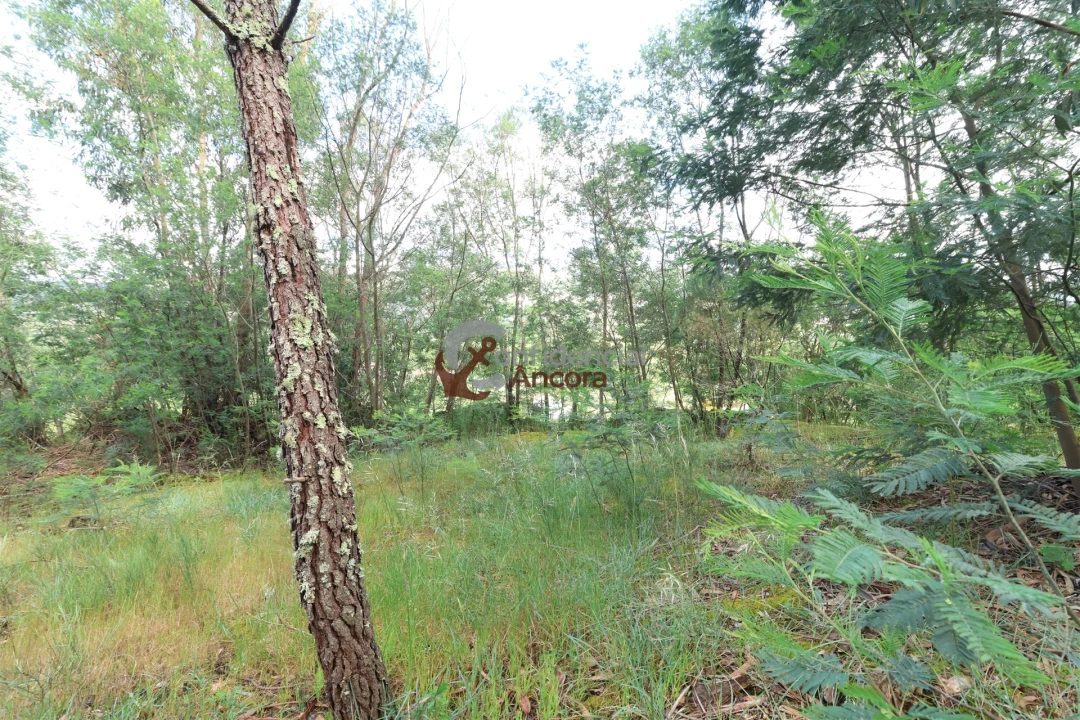 Terreno para Venda em Gouveia (São Pedro e São Julião) Foto 18