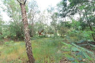 Terreno para Venda em Gouveia (São Pedro e São Julião)