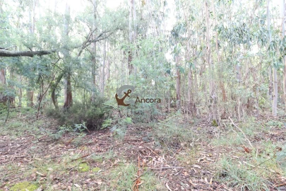 Terreno para Venda em Gouveia (São Pedro e São Julião)