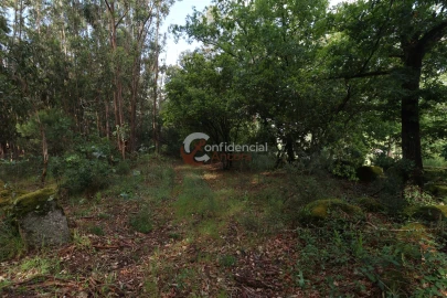 Terreno para Venda em Gouveia (São Pedro e São Julião)