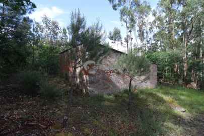Terreno para Venda em Gouveia (São Pedro e São Julião)