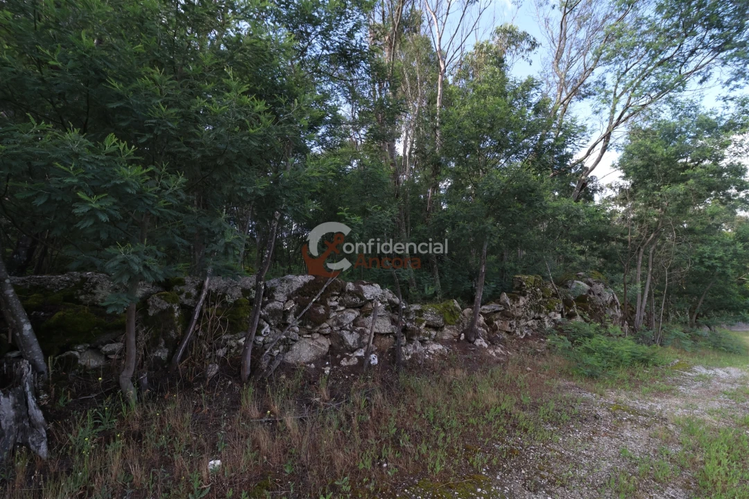 Terreno para Venda em Gouveia (São Pedro e São Julião) Foto 14