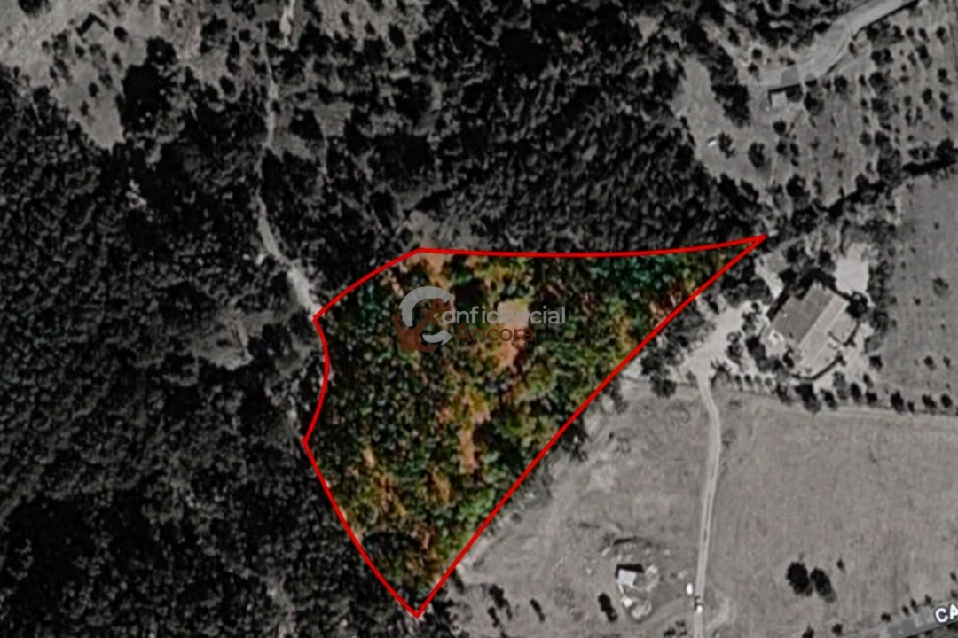 Terreno para Venda em Gouveia (São Pedro e São Julião) Foto 19