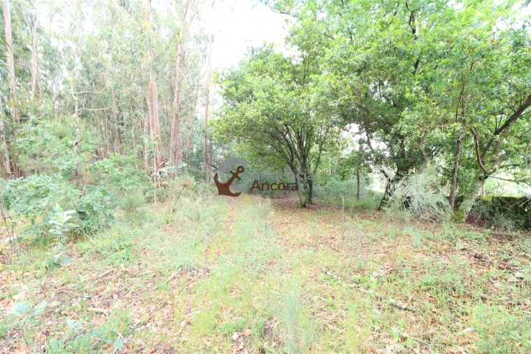 Terreno para Venda em Gouveia (São Pedro e São Julião) Foto 15