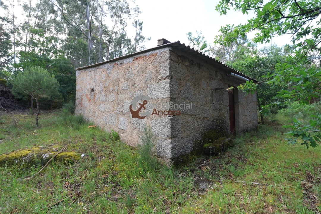 Terreno para Venda em Gouveia (São Pedro e São Julião) Foto 7