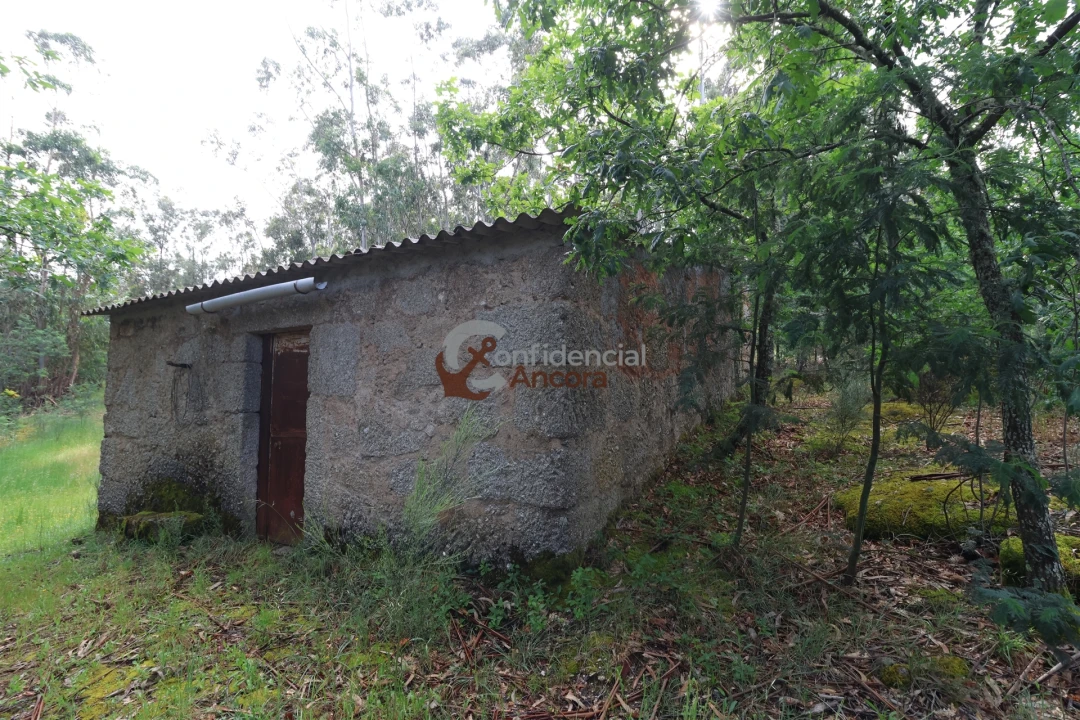 Terreno para Venda em Gouveia (São Pedro e São Julião) Foto 1