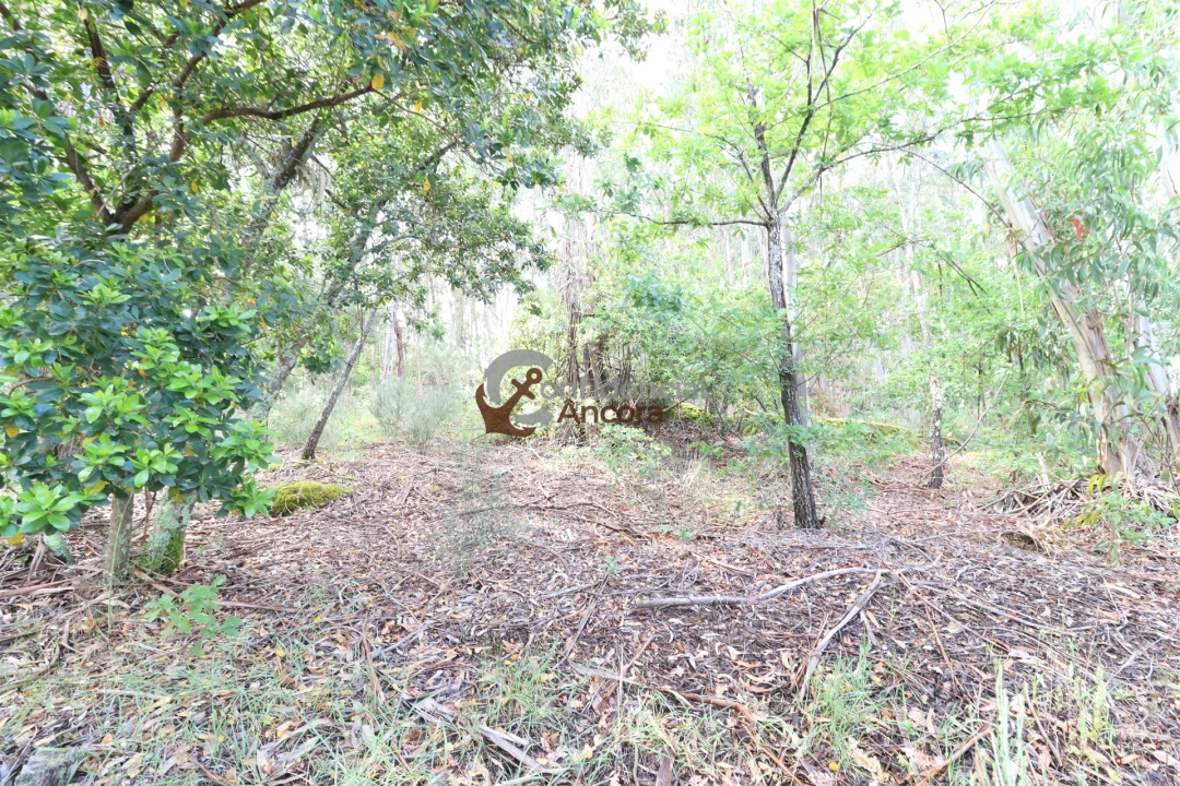 Terreno para Venda em Gouveia (São Pedro e São Julião) Foto 17