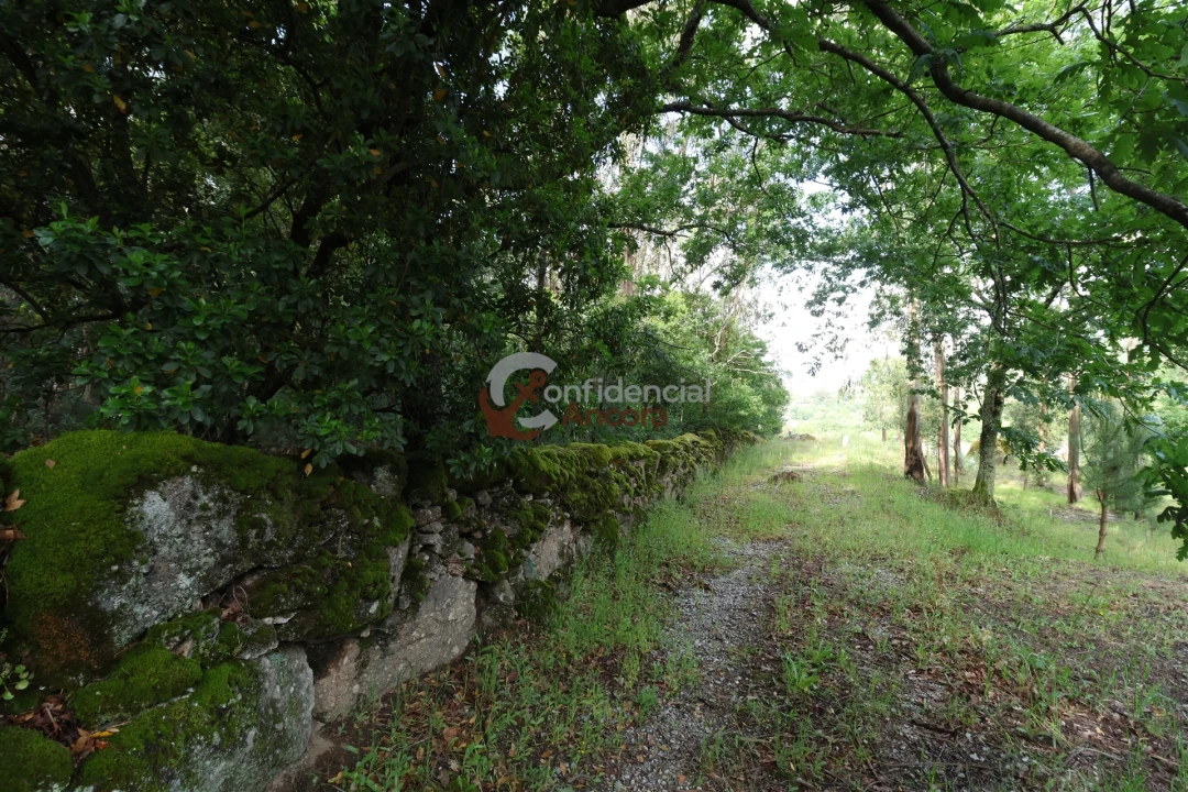 Terreno para Venda em Gouveia (São Pedro e São Julião) Foto 13