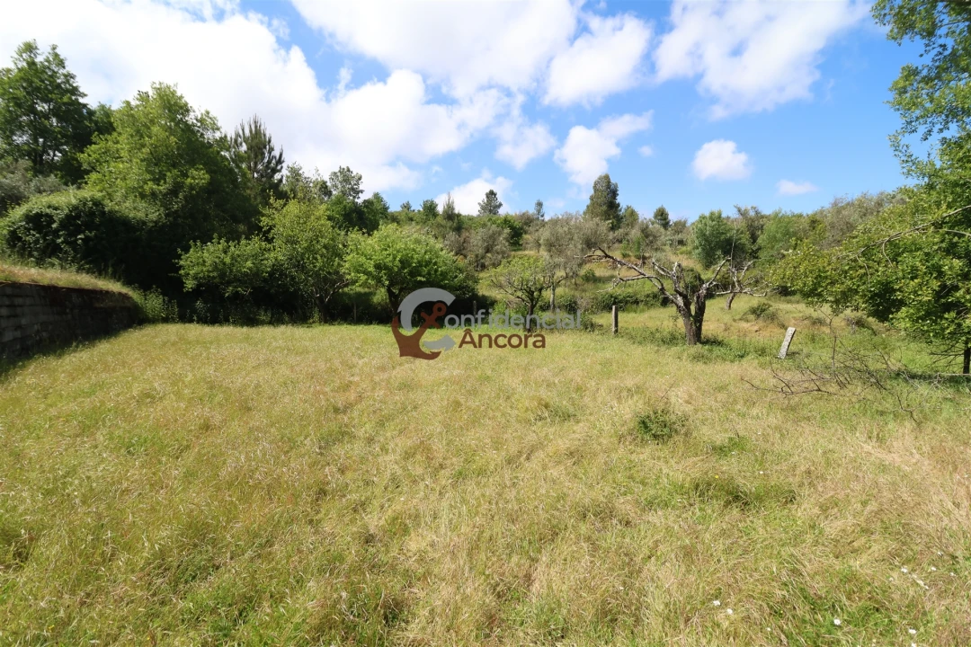 Terreno para Venda em São Paio Foto 13