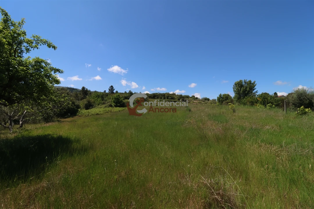 Terreno para Venda em São Paio Foto 23