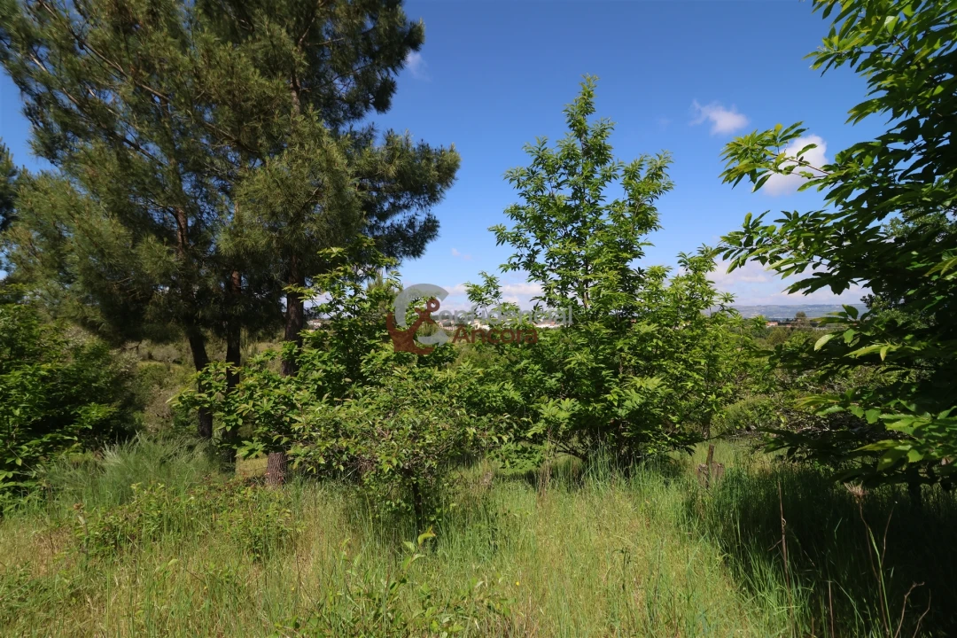 Terreno para Venda em São Paio Foto 21