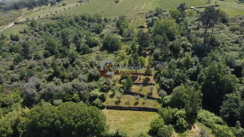 Terreno para Venda em São Paio