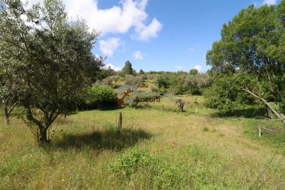 Terreno para Venda em São Paio