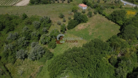 Terreno para Venda em São Paio