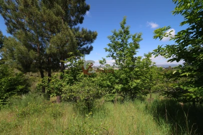 Terreno para Venda em São Paio