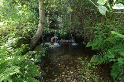 Terreno para Venda em São Paio