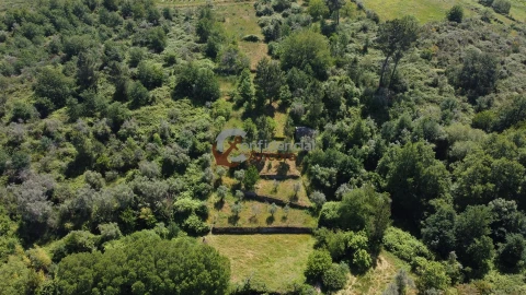 Terreno para Venda em São Paio