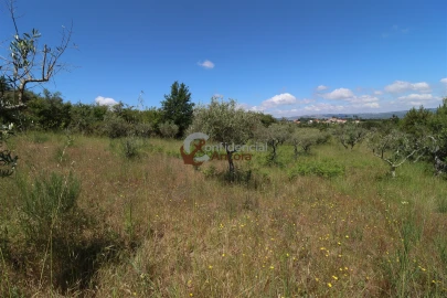 Terreno para Venda em São Paio