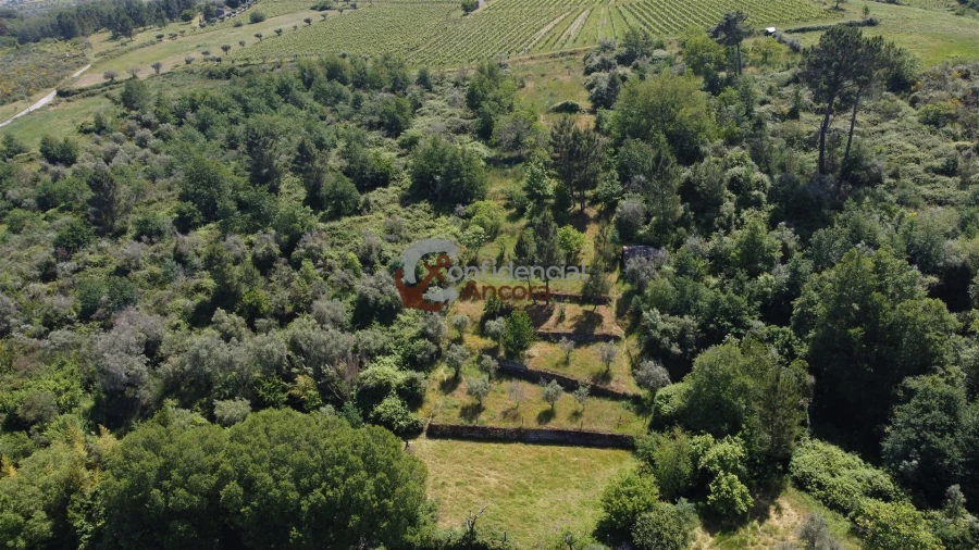 Terreno para Venda em São Paio Foto 37