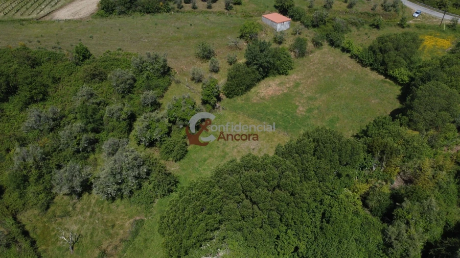 Terreno para Venda em São Paio Foto 35