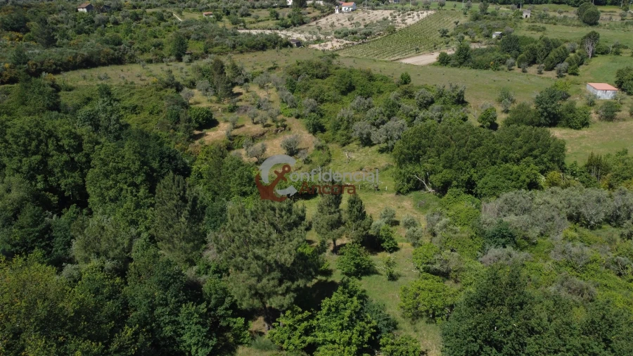 Terreno para Venda em São Paio Foto 34