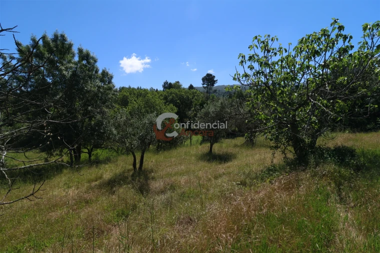 Terreno para Venda em São Paio Foto 24