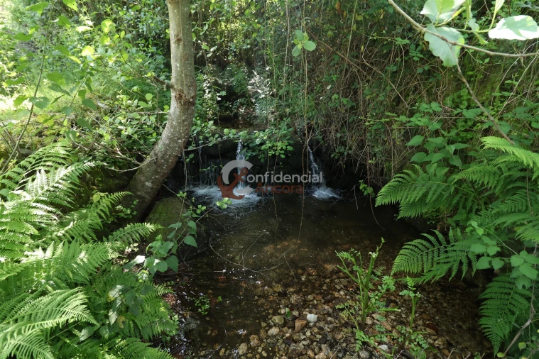 Terreno para Venda em São Paio Foto 11