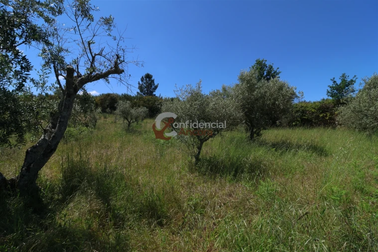 Terreno para Venda em São Paio Foto 28