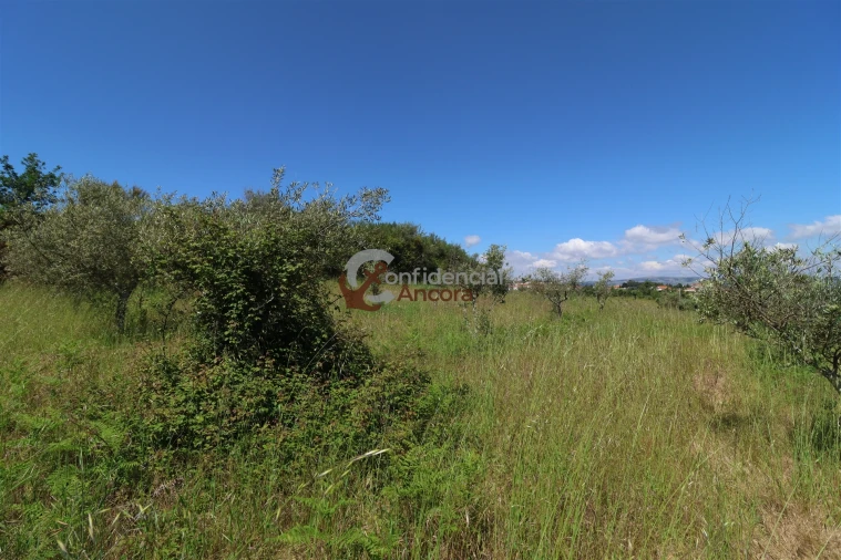Terreno para Venda em São Paio Foto 29