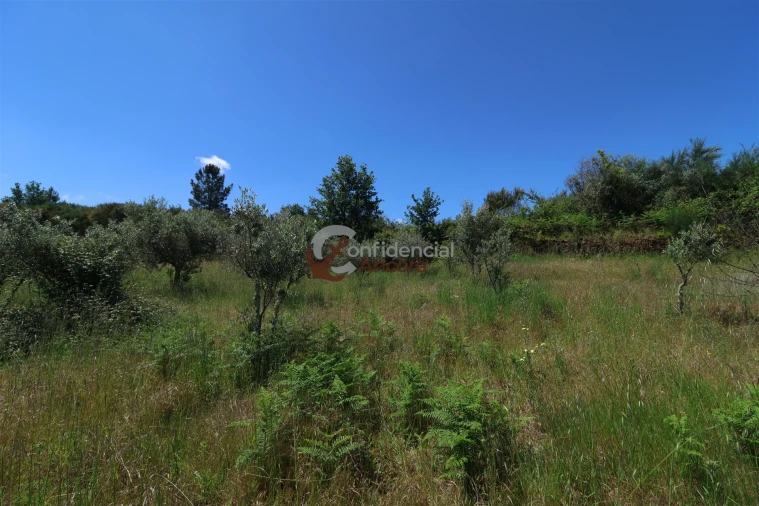 Terreno para Venda em São Paio Foto 32