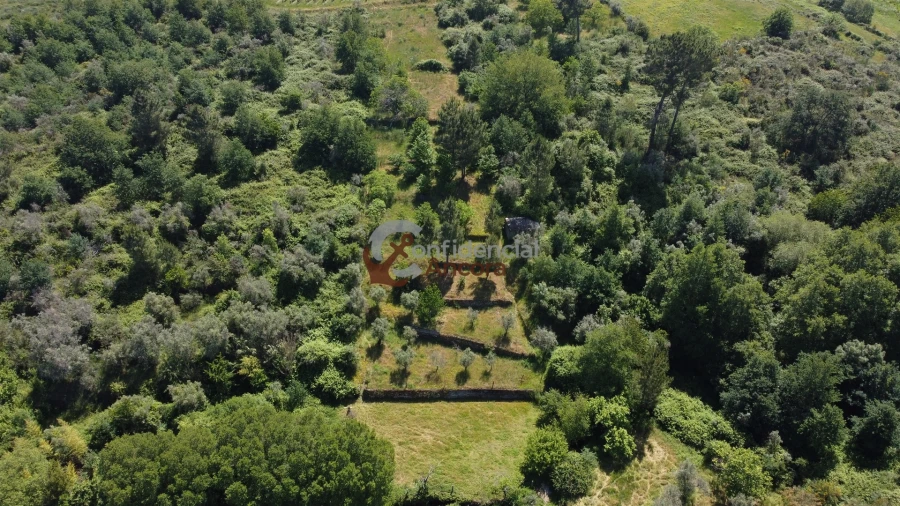 Terreno para Venda em São Paio Foto 38
