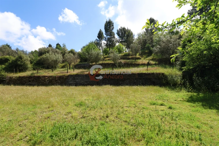 Terreno para Venda em São Paio Foto 12