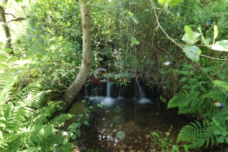 Terreno para Venda em São Paio Foto 10