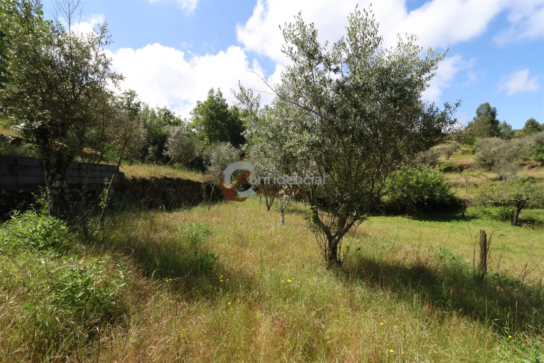 Terreno para Venda em São Paio Foto 14