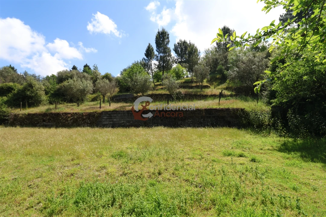 Terreno para Venda em São Paio Foto 12