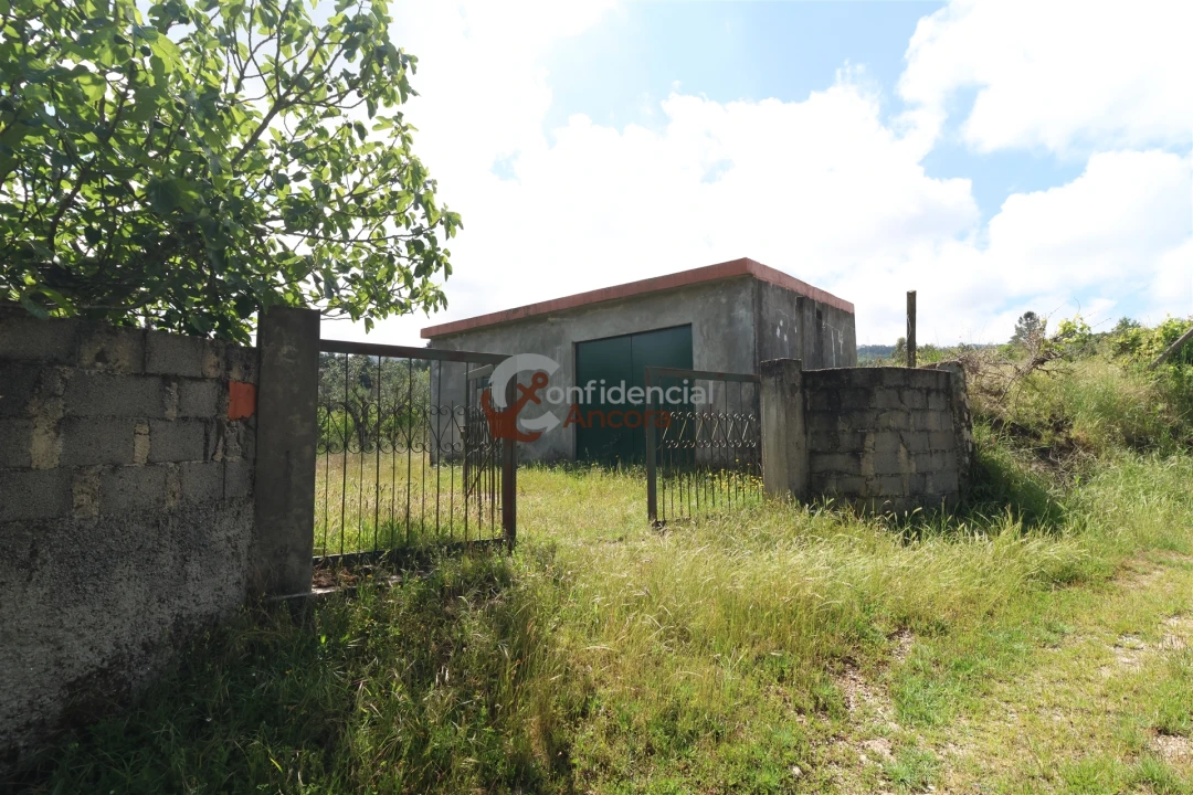 Terreno para Venda em São Paio Foto 1