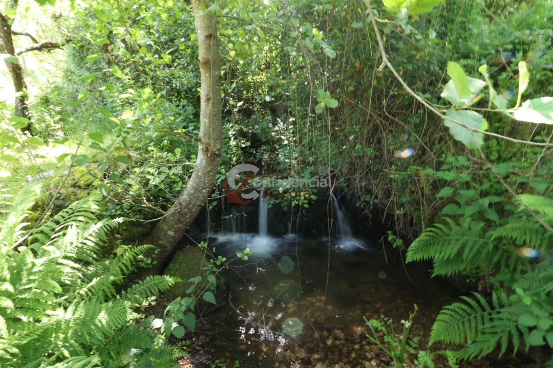 Terreno para Venda em São Paio Foto 10