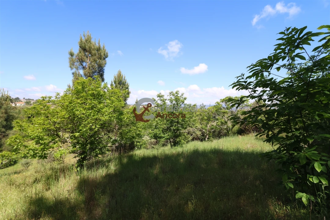 Terreno para Venda em São Paio Foto 20
