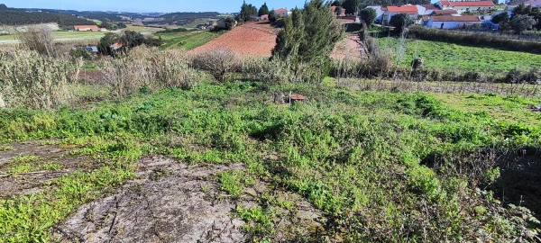 Moradia T3 para Venda em Miragaia e Marteleira
